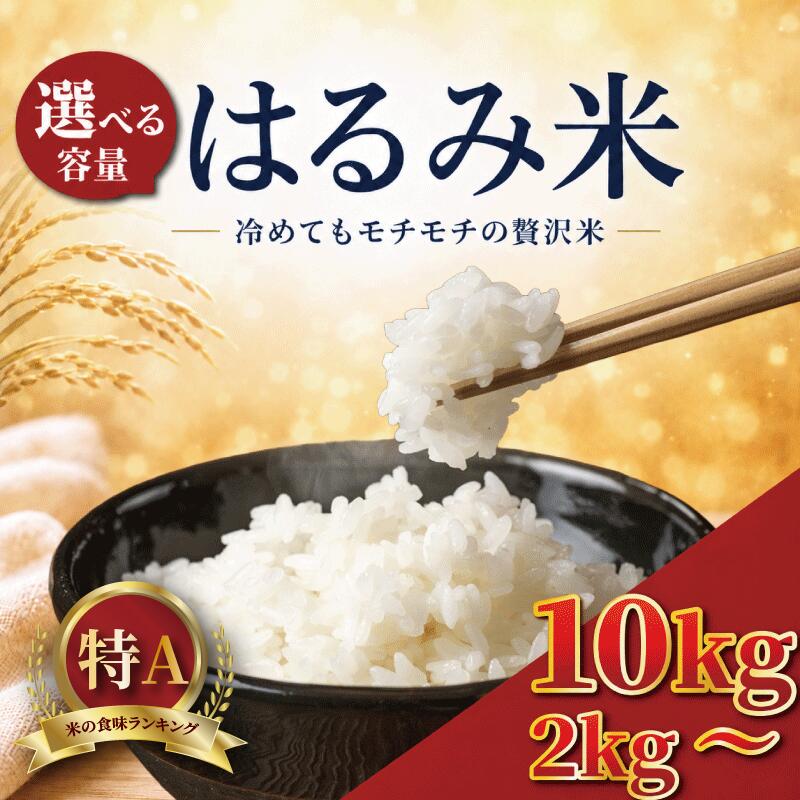 【ふるさと納税】 米 はるみ 2kg / 5kg / 10kg 【 令和8年産 】 白米 お米 新米 数量 限定 はるみ ごはん こめ コメ はくまい 令和8年産米 精米 ブランド米 日用品 農家直送 飯島ファーム R8年産プレゼント お取り寄せ 仕送り ギフト 人気 神奈川 海老名