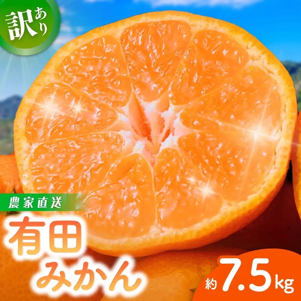 【訳あり】有田みかん 約7.5kg ※2026年11月～2027年1月に順次発送予定（お届け日指定不可）※北海道・沖縄・離島への配送不可訳あり【nuk157F】