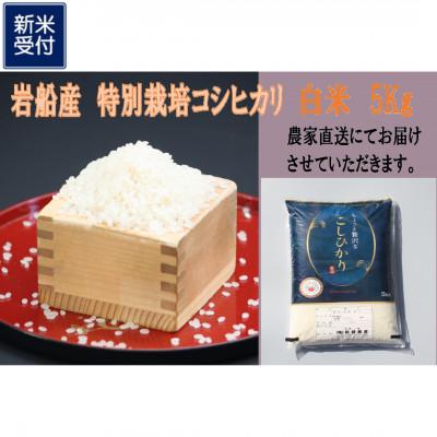 ふるさと納税 村上市 【新米受付・令和8年産米】新潟県村上市岩船産 特別栽培米 ちょっと贅沢なコシヒカリ 5kg 047N