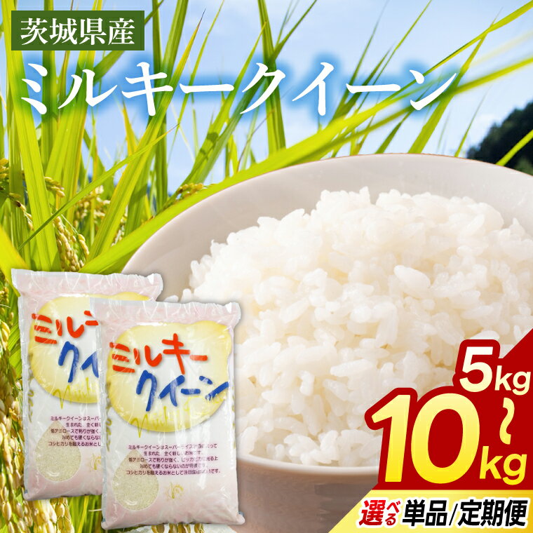 【ふるさと納税】茨城県産ミルキークイーン 選べる 5kg 10kg 単品 定期便(3回/6回) 米 お米 白米 精米 おにぎり 茨城県産 鹿嶋市 国産 送料無料 ごはん ツヤ もちもち やわらか おいしい おこめ 茨城発祥 直前精米 新鮮 粘り 冷めても 美味しい