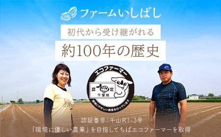 【先行予約／2024年11月発送】落花生・Ｑなっつのやわらか甘納豆（110ｇ）2個セット／ふるさと納税 甘納豆 豆 甘い 落花生 千葉県 山武市 SMAH001 甘納豆 豆 甘い 落花生 ピーナッツ 