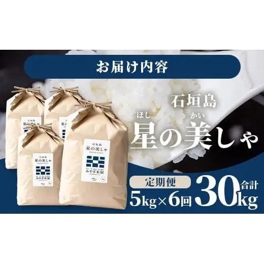 【定期便６回】6ヶ月連続お届け 石垣島産 星の美しゃ（ほしのかいしゃ）30kg（5kg×6回）MK-7