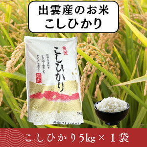 【ふるさと納税】お米　令和8年産　出雲コシヒカリ5kg