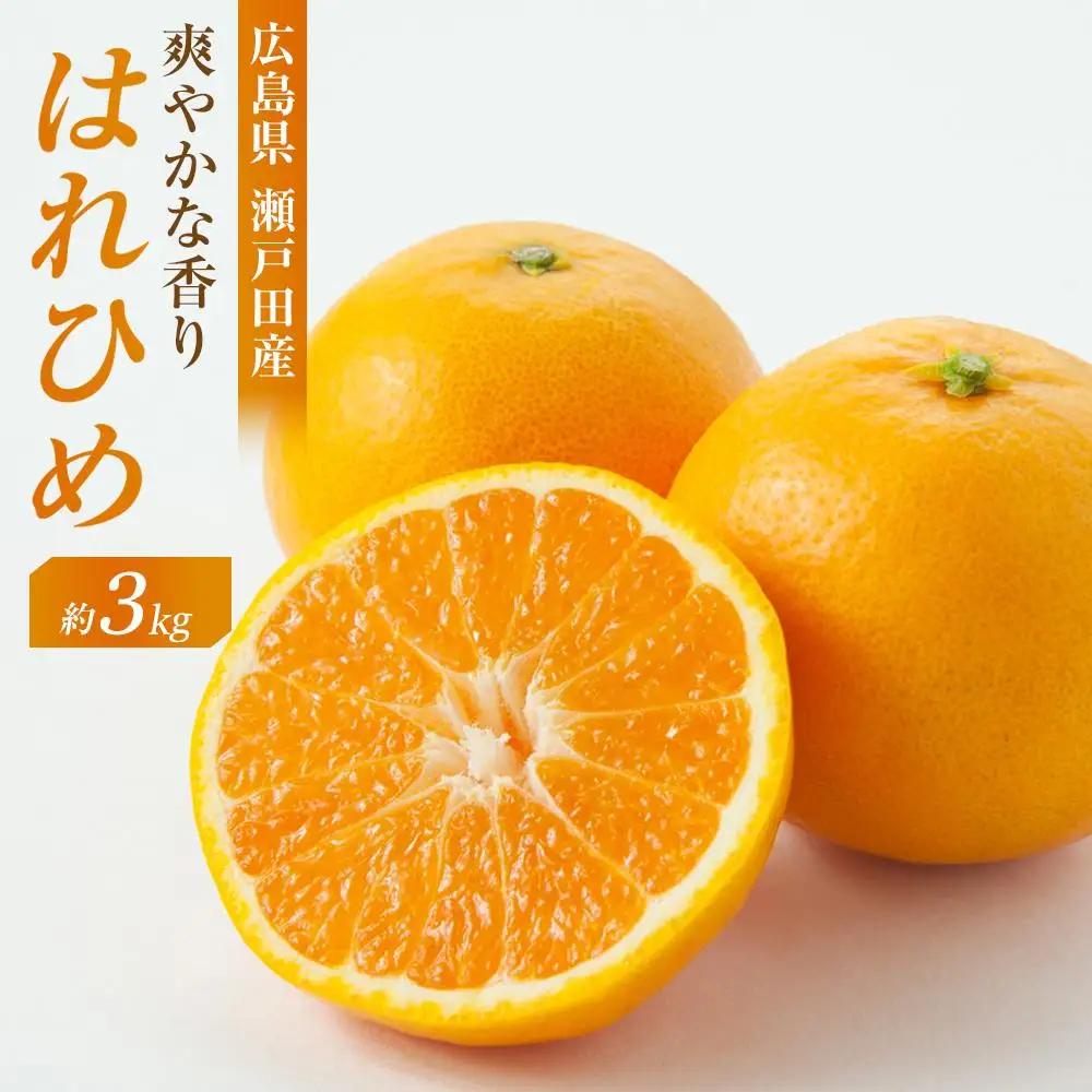 【先行予約】爽やかな香り！ はれひめ3kg ＜2026年12月下旬より発送開始＞