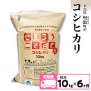 【ふるさと納税】定期便6ヶ月コシヒカリ精米10kg【金助農業株式会社】