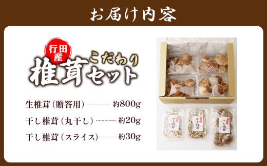 行田産こだわり椎茸セット（生椎茸・干し椎茸） ／きのこ しいたけ シイタケ 無冠水栽培 肉厚食感 しっかり歯ごたえ 豊かなうまみ 生と乾燥の食べ比べ 乾燥スライス 丸ごと乾物 冷蔵配送 冷凍保存可能 食材ストック バター焼き 煮物具材 鍋料理具材 炊き込みご飯 だし素材 埼玉県 No.005