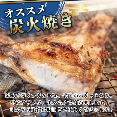 ふるさと納税 南伊勢町 伊勢志摩産 ブリ カマ 1kg BBQや煮つけがオススメ 城水産が新鮮な鰤を真空パックしてお届け |  | 01
