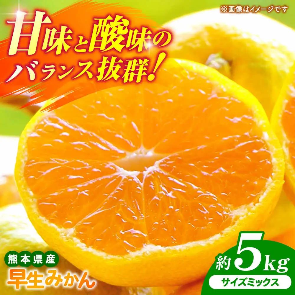 【先行予約】 早生みかん 2S-2L 約5kg みかん 蜜柑 柑橘 フルーツ 果物 【日本フルーツ株式会社】[ZFJ057]