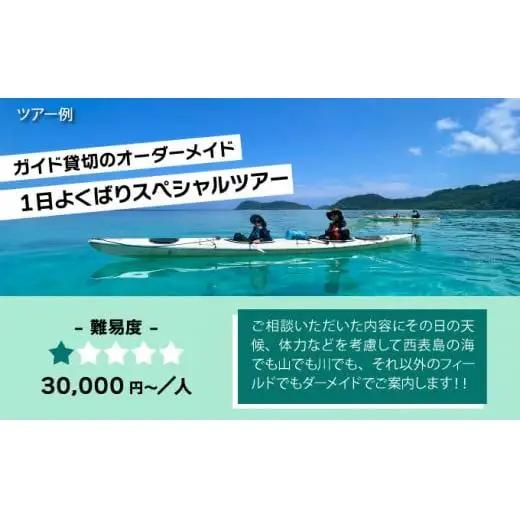 旅行券 沖縄 チケット 西表島 アクティビティ ツアーチケット 3,000円 旅行 旅行 体験 観光 