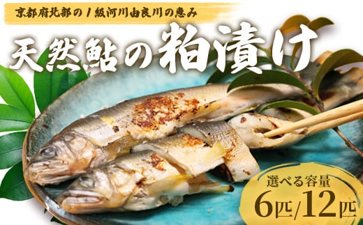 
            天然鮎の粕漬け 6匹/12匹 【 由良川漁協 あゆ 鮎 アユ 魚 魚介 川魚 海鮮 漬け魚 粕漬け 酒粕 天然 大人 贅沢 おつまみ 酒の肴 珍味 綾部 京都 】
          
