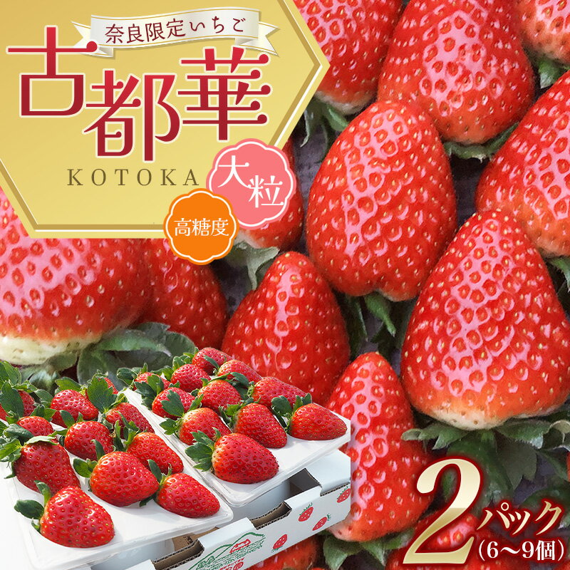 【ふるさと納税】（冷蔵）大粒 古都華 イチゴ 2パック ／ 寺田農園 希少 プレミアム 高糖度 酸味 バランスの良い 苺 奈良県 葛城市
