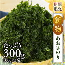 【ふるさと納税】≪先行予約≫期間限定！新物あおさのり 300g 100g×3袋 新物 あおさ あおさのり 愛知県 三河湾産 「はじめまして あおさのり です。」あおさ海苔 海苔 味噌汁 みそ汁 具 海藻類 アオサ 大容量 送料無料 国産 食品 田原市 人気