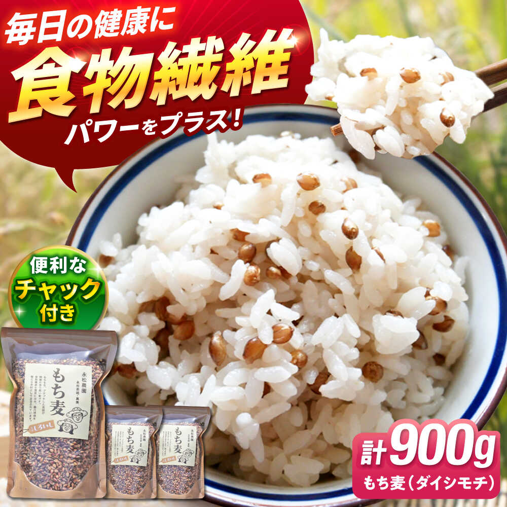 【ふるさと納税】白石産 もち麦900g (300g×3袋セット) モチ麦 もちむぎ 小分け 健康 雑穀米 雑穀 お米【地域振興団体道の駅しろいしカンパニー】 [IAA003]