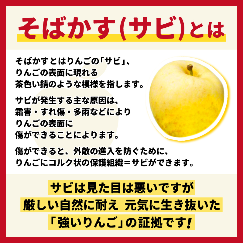 ★サビあり★ りんご はるか 「そばかす冬恋」（自家用「冬恋 はるか」 サビ有） 約2.5kg 糖度15度以上【先行予約 12月発送予定】 数量限定 岩手県産 りんご リンゴ 林檎 冬恋 はるか フル