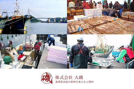 のどぐろ入り 干物4種と西京漬3種セット 魚介類 魚貝類 干物 干もの 一夜干し のどぐろ 鯛 セット 詰め合わせ おかず つまみ 西京漬け 【1652】