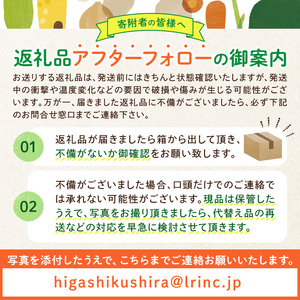 【0152702b】＜定期便・全2回＞名産地の農家直送！みずみずしい白いぼきゅうり(計4g・2kg×2回) 野菜 やさい 旬 新鮮 サラダ キュウリ 胡瓜【吉ヶ崎農園】