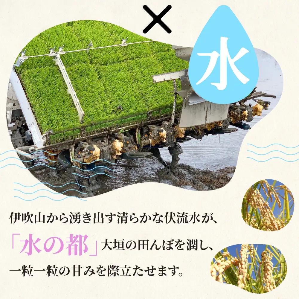 玄米 R7年産 15kg  ハツシモ｜玄米