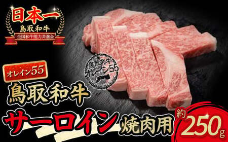 鳥取和牛　オレイン55サーロイン焼肉用お肉 肉 牛肉 和牛 鳥取和牛 牛肉 肉 国産 お肉 冷凍焼き肉 牛肉 焼き肉用 サーロイン オレイン55 牛肉