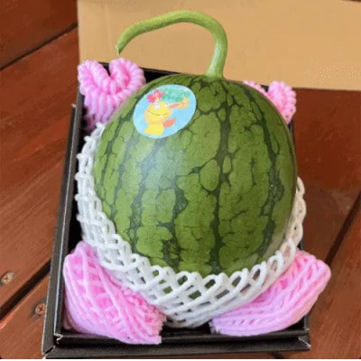 【今帰仁のすいか・ギフト箱】かりゆしすいか(小玉1.7kg)【配送不可地域：離島】