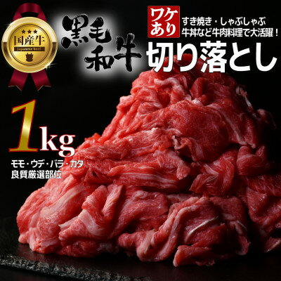 【ふるさと納税】【訳あり】宮城県産黒毛和牛 1.0kg(500g×2)部位厳選切り落とし すき焼き・しゃぶしゃぶ用【配送不可地域：離島】【1571147】