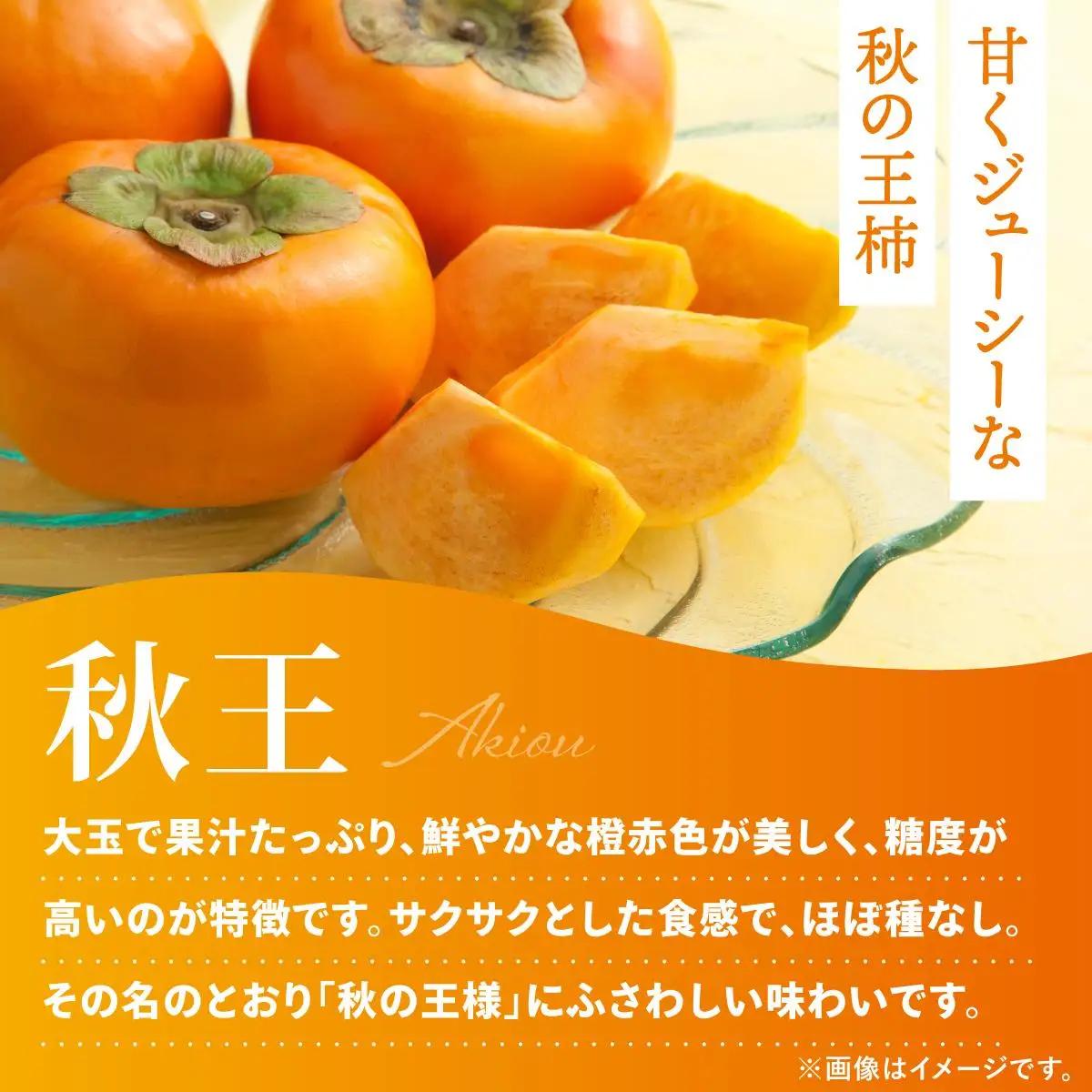 福岡より直送！種がほとんどない新ブランド 柿 秋王 約1.5kg 化粧箱入（2026年10月以降発送）