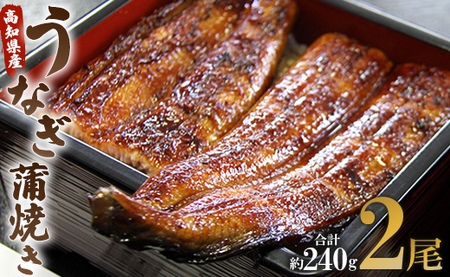 うなぎ 蒲焼き 国産 120g 2尾 【うなぎ 蒲焼き 惣菜 うなぎ 蒲焼き 魚介 うなぎ 蒲焼き 加工品 うなぎ 蒲焼き 高評価 うなぎ 蒲焼き 人気 うなぎ 蒲焼き おすすめ】un-0014