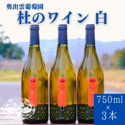 ふるさと納税 雲南市 杜のワイン白 750ml×3本 辛口ワイン 白ワイン3本セット