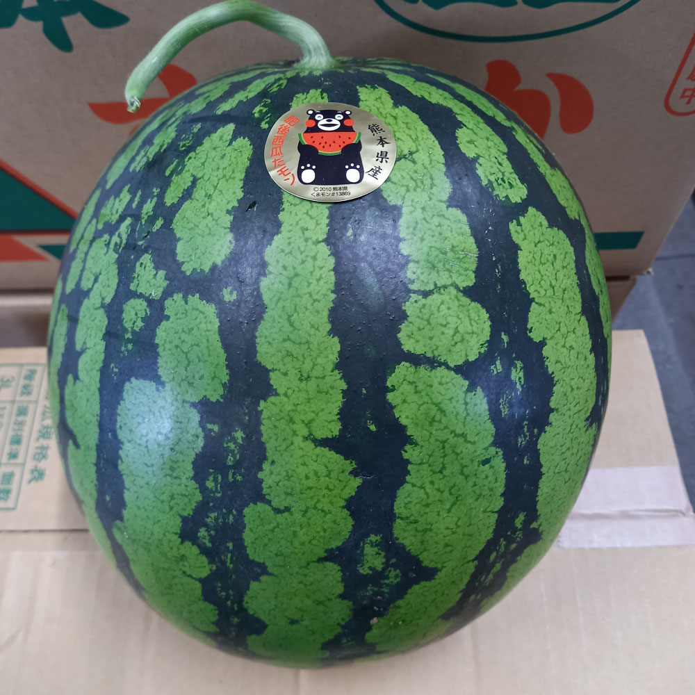 【ふるさと納税】熊本特産！大玉 スイカ 1玉（約6kg以上）すいか 西瓜 くだもの 果物 フルーツ 熊本市産 熊本県産 九州産 国産 送料無料【2025年6月上旬～7月下旬発送予定】