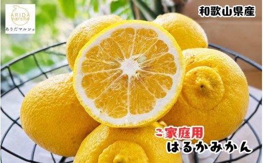
                  ＜1月下旬～＞【先行予約】【人気柑橘】有田育ちの はるか みかん（訳あり 家庭用）約7.5kg+200g(傷み補償分)　※2027年1月下旬～3月下旬に順次発送予定【ard252A】
                