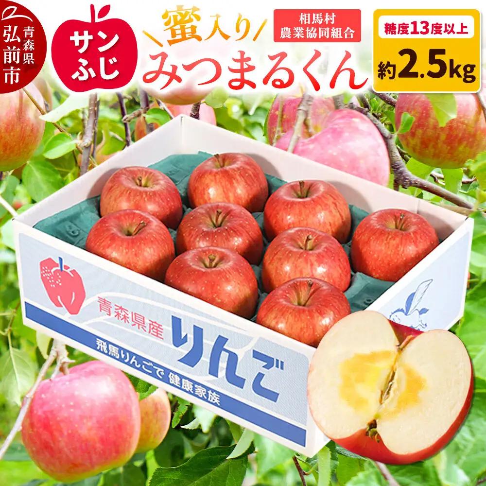 りんご 蜜入り サンふじ（みつまるくん）約 2.5kg【11月～発送】りんご
