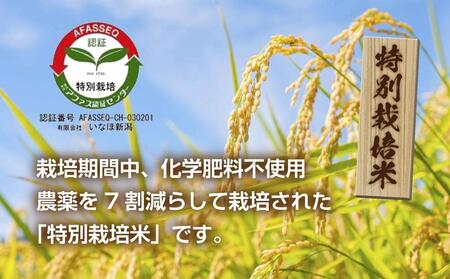 【特別栽培米】南魚沼産 コシヒカリ 2kg ×3袋 計6kg いなほ新潟 農家のこだわり 新潟県 南魚沼市 塩沢地区 しおざわ お米 こめ 白米 コメ 食品 人気 おすすめ 送料無料