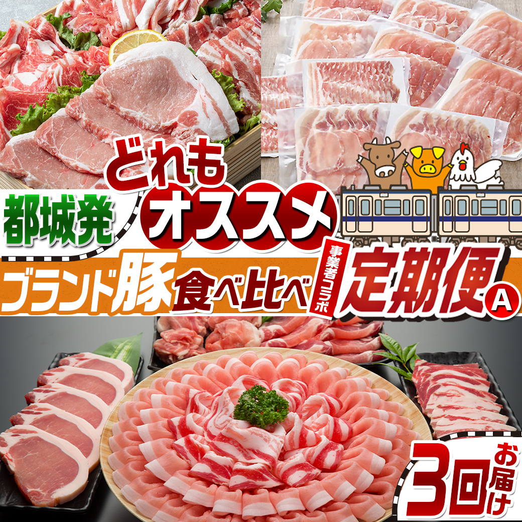 【事業者コラボ定期便】どれもオススメ!ブランド豚食べ比べ3回定期便A
