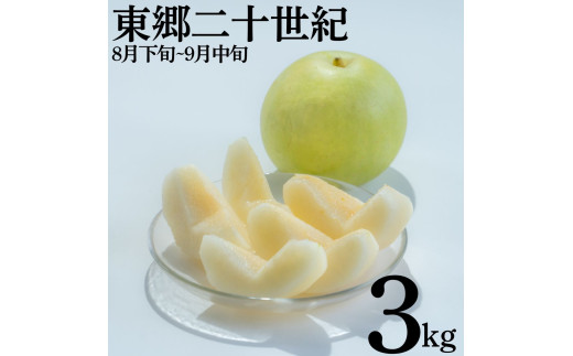 5M.東郷二十世紀3kg