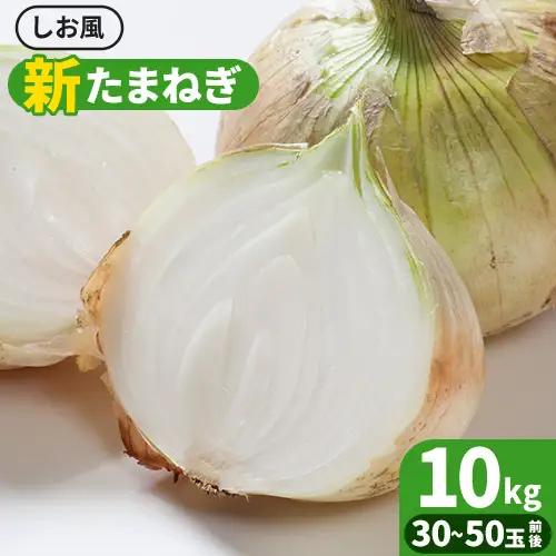 しお風新玉ねぎ 約10kg　たまねぎ 玉ねぎ