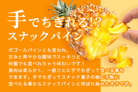 《2024年6月まで発送》最高糖度18度！？ 石垣島産完熟スナックパイン 2個セット 【 沖縄県 石垣市 石垣島 完熟 パイン パイナップル スナック 産地直送 】TF-23