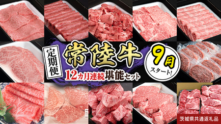 【定期便】【令和7年9月スタート】【全12回】『常陸牛』人気12か月堪能セット（12か月連続でお届け） お肉 肉 牛肉 ステーキ ハンバーグ サーロイン 赤身 切り落とし 霜降り カルビ (茨城県共通返礼品)