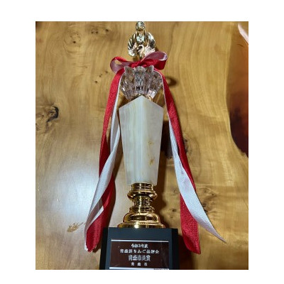 【訳あり】 りんご 希少品種「華宝」 家庭用 約3kg 青森市長賞受賞【配送不可地域：離島】