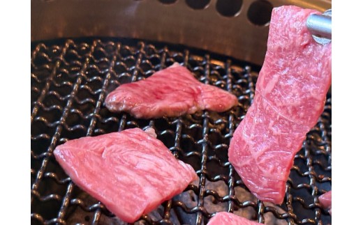 
                  鳥取黒毛和牛もも焼肉用(計760g)
                