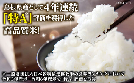 【全3回定期便】【新米】雲南市産きぬむすめ 10kg（5kg×2袋） 島根県雲南市/有限会社藤本米穀店 ｜食味ランキング 特A 白米 精米 コメ 10キロ[AIDB103]