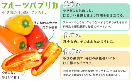 野菜 サラ詰め合わせセット　野菜セット