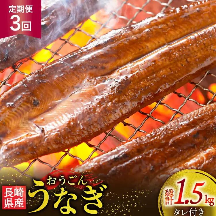 うなぎ 国産 蒲焼 長崎県産 おうごんうなぎ 約500g 3尾～4尾 3回 定期便 総計 約1.5kg