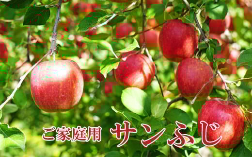 
            No.1222 りんご「サンふじ」【ご家庭用】約5kg【2025年発送】
          
