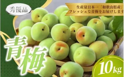 【先行予約】 青梅 10kg ※秀優品 ※サイズ混合 【6月上旬～6月下旬頃に順次発送予定】＜味好農園＞/ 梅 青梅 梅干 梅干し 梅酒 お酒 シロップ ジュース【agy508-r-10】