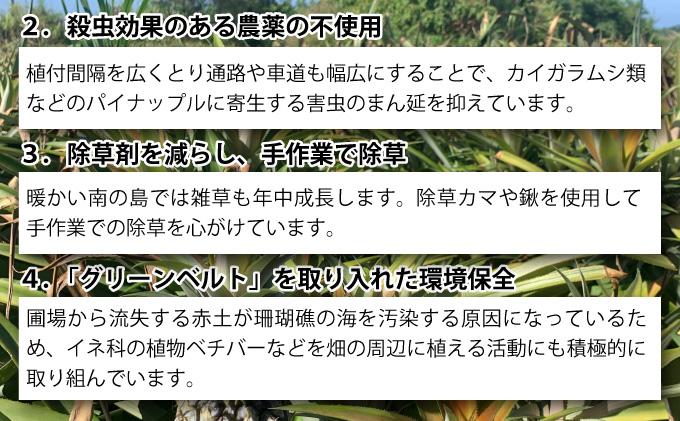 【2026年発送】リピータ続出！西表パイン園の蜜入り ピーチパイン 2kgセット