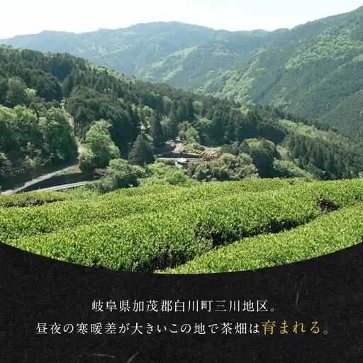 発酵和茶Trinitea 二番茶リーフタイプ 和紙化粧箱入り / ヨリスグリ[AWBV006]和紅茶ギフト