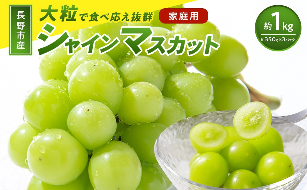 
                  【訳あり】長野市産 シャインマスカット 約1.0kg（ご家庭用）【2026年9月下旬以降出荷予定】わけあり 長野 | ぶどう 訳あり 農家応援 シャインマスカット 約1kg 人気 おすすめ フルーツ 果物 葡萄 ブドウ 種なし 皮ごと 旬 長野県 長野市 信州 信濃 ふるさと納税
                