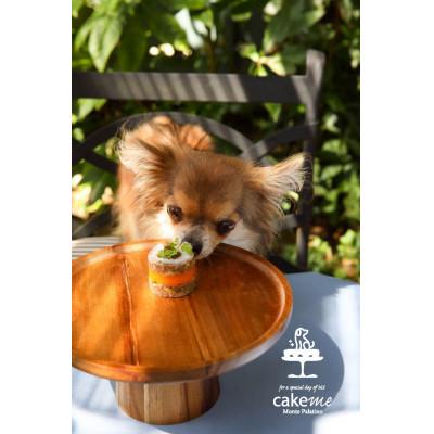 ふるさと納税 筑前町 ペットフード(犬のおやつ)　ジャガイモとブロッコリーのタルト　5個入り |  | 02