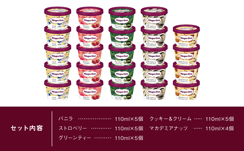 【着日指定できます!!】ハーゲンダッツ『定番ミニカップ5種セット(合計24個)』アイスクリーム アイス スイーツ デザート_H0016-133