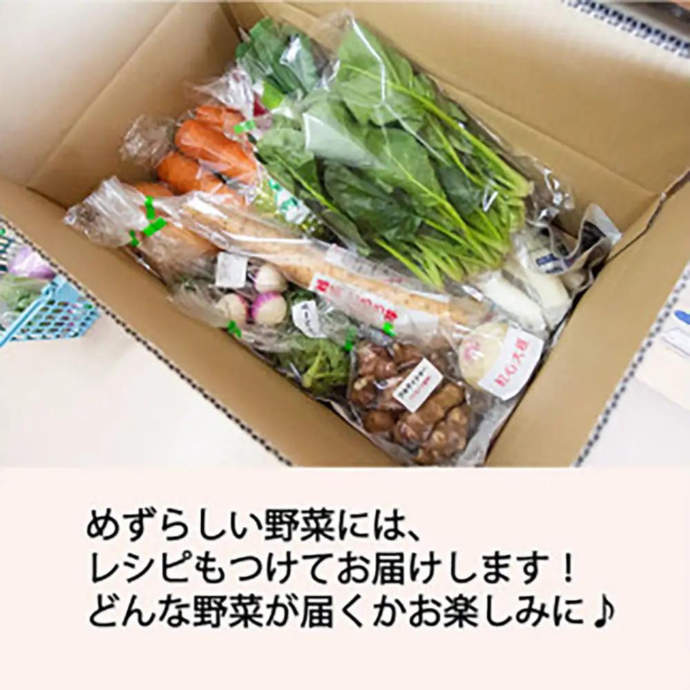 季節のおすすめ野菜おまかせ詰め合わせ6ヵ月定期便 8種～12種類【16104】