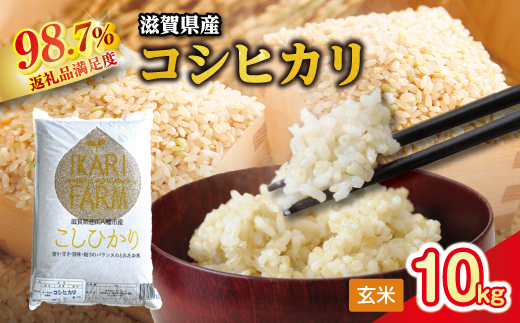 【新米】令和8年産　強い粘りと旨味！お米の王様「コシヒカリ」　玄米10ｋｇ（5ｋｇ×2）【C033W】（滋賀県　近江八幡市）